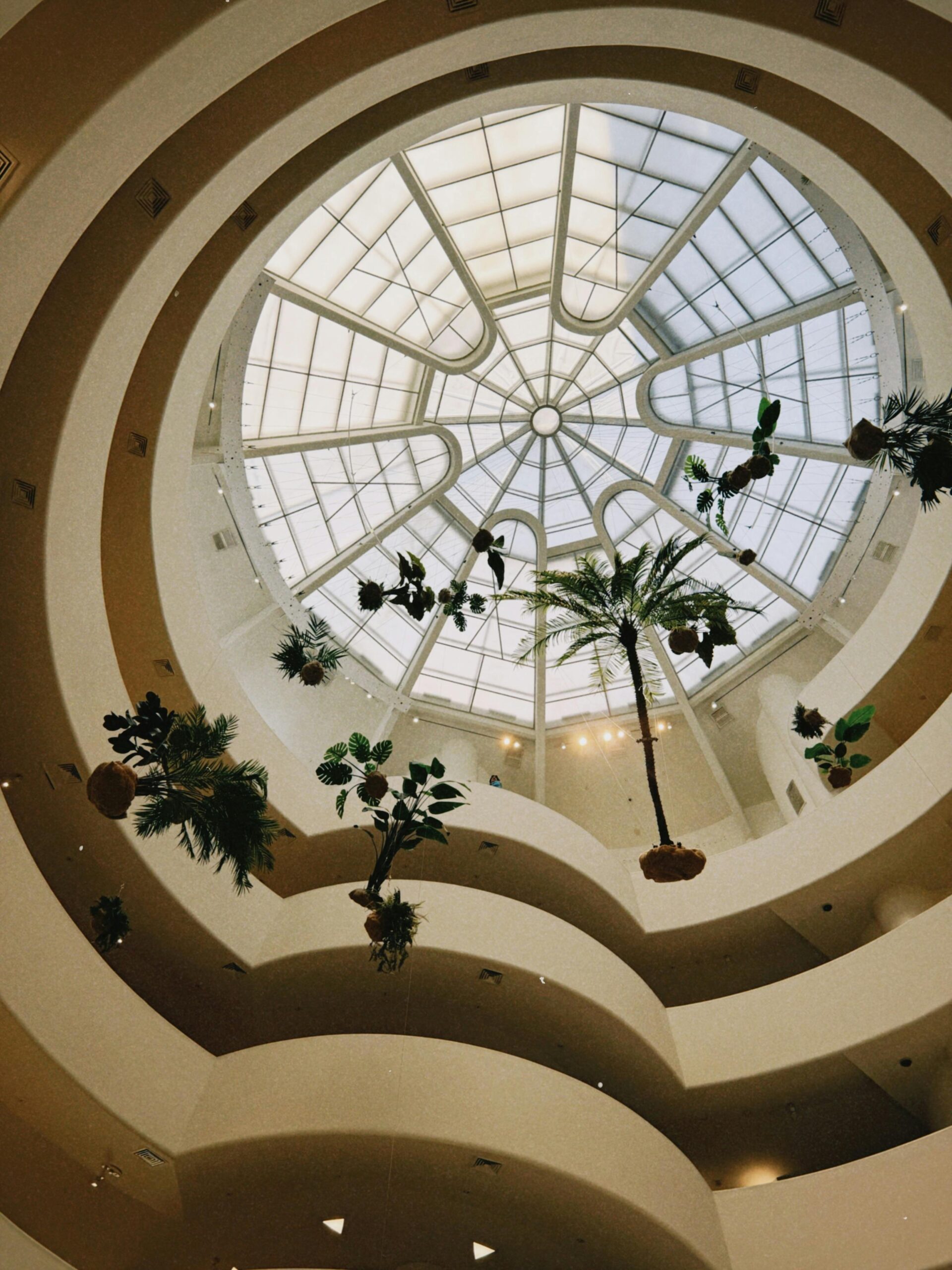 Meyer Guggenheim: 3 Estratégias de Rigor para Consolidar o seu Futuro